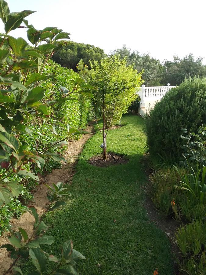 Casa Cereja 'Adults Only' Bed and Breakfast Albufeira Esterno foto