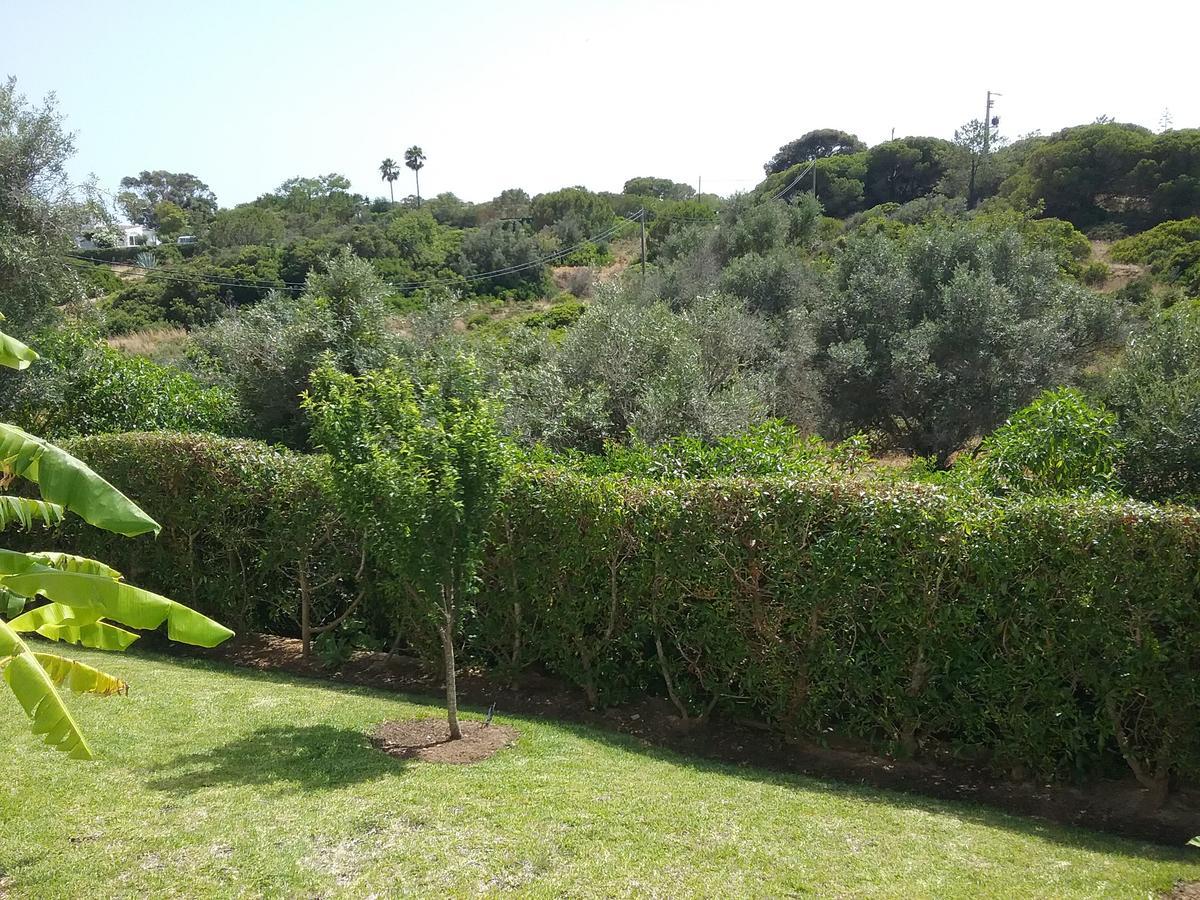 Casa Cereja 'Adults Only' Bed and Breakfast Albufeira Esterno foto